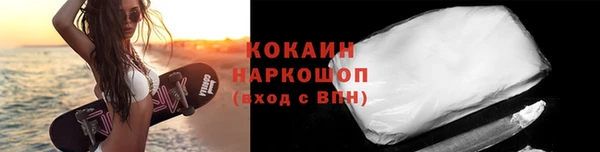 индика Алзамай