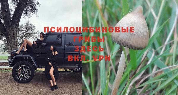 прущий лед Алексин