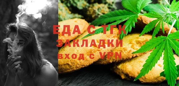 индика Алзамай