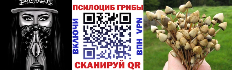 Галлюциногенные грибы мицелий  Углич 