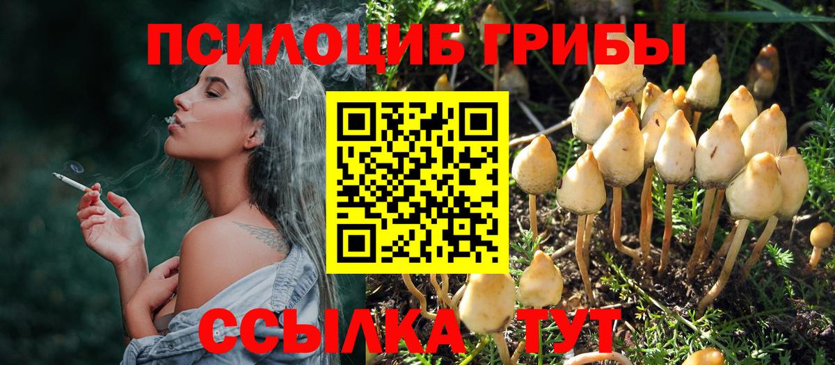 Углич  Псилоцибиновые грибы Magic Shrooms  Вход с VPN 