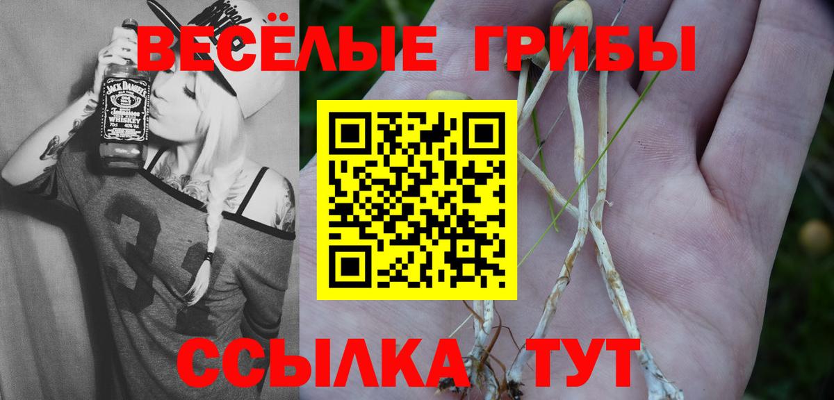APVP Углич