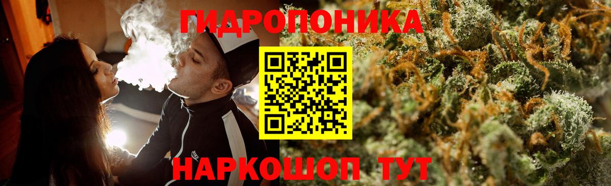 Бошки марихуана SATIVA & INDICA  Вход с VPN  Углич  Каннабис SATIVA & INDICA  Бошки Шишки Amnesia 